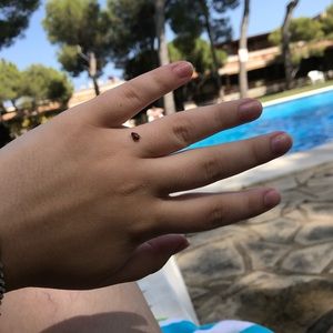 Meet your Posher, Yasmine